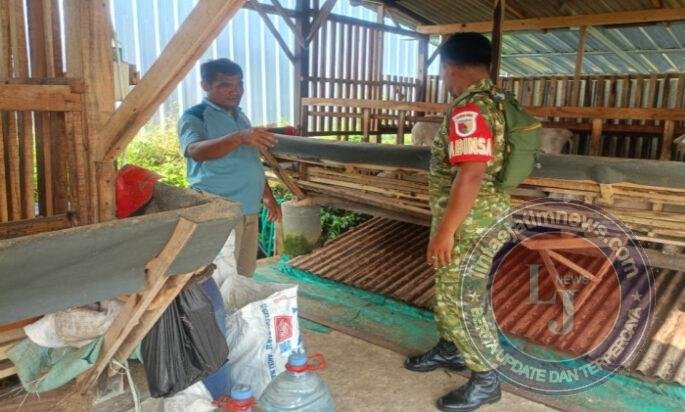 Dari Kandang Kambing, Babinsa dan BUMDes Pilangrejo Perkuat Ketahanan Pangan Desa