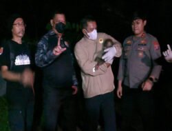 Tak Hanya Padamkan Api, Polri Selamatkan Anak Beruang Madu Terdampak Karhutla