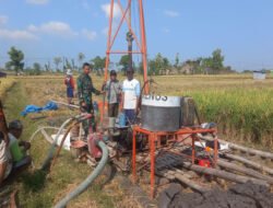 Harapan Baru dari Perut Bumi: Sinergi Babinsa dan Petani Plumpungrejo Hadapi Musim Tanam