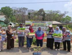 Unik! SanCil TK Muslimat NU 01 Paciran Peringati Hari Santri Nasional 2026 dengan Aksi Tanam Bersama