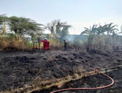 Bahu-Membahu, Sinergi Babinsa dan Damkar Padamkan Api di Lahan PPI