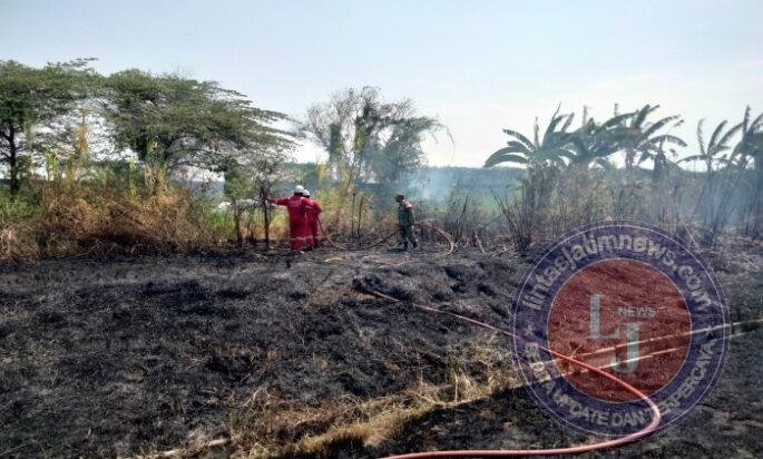 Bahu-Membahu, Sinergi Babinsa dan Damkar Padamkan Api di Lahan PPI