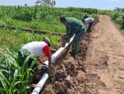 Pipanisasi di Candimulyo, Babinsa Bersama Warga Perkuat Ketahanan Pangan Desa