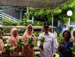DWP BKN Launching Program Tanaman Hidroponik Dukung Program ASRI Presiden