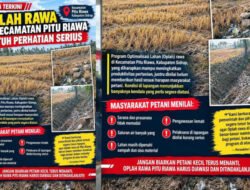Oplah Rawa Sumpang Mango, Aju Bissue hingga Otting Disorot, Petani Keluhkan Batu dan Sampah Bekas Galian