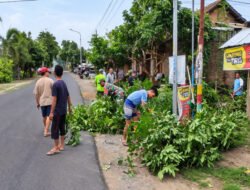 Lingkungan Bersih, Jalan Nyaman Dilalui, Babinsa dan Warga Jatirejo Kompak Gelar Kerja Bakti